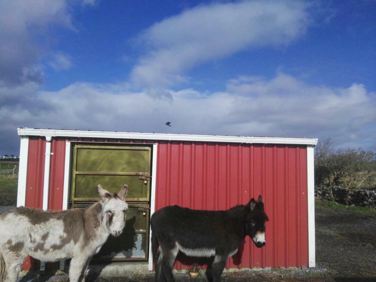 Willa The Wild Atlantic Way Barn Oranmore Zewnętrze zdjęcie